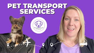 The BEST way to get your pets across the country for your next move or pet adoption. #pettransport