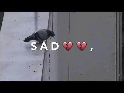 غنيه عايز اهرب من الناس تصميم بجنن