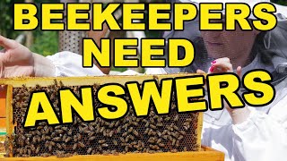 Beekeeping Can Leave Beekeepers Looking For Answers!