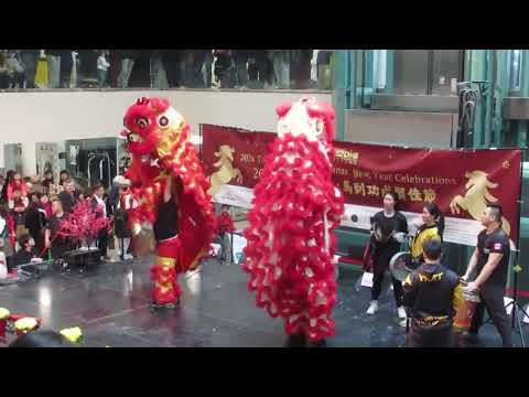 Toronto Chinatown Centre Lion Dance 2026