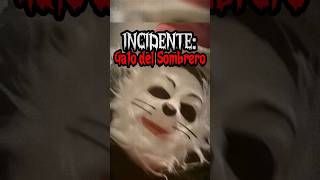 Gato Del Sombrero En El Metro