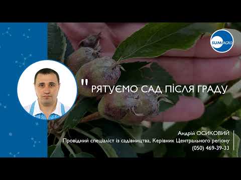 Рятуємо сад після