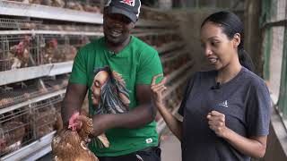 I FACED MY FEAR OF CHICKENS | A visit to Maina Farm