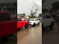 Tornado tears up houses and trees in Illinois
