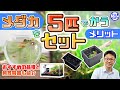 メダカを"5匹"で飼う！？少数飼育のメリットとおすすめの品種、飼育容器も紹介！