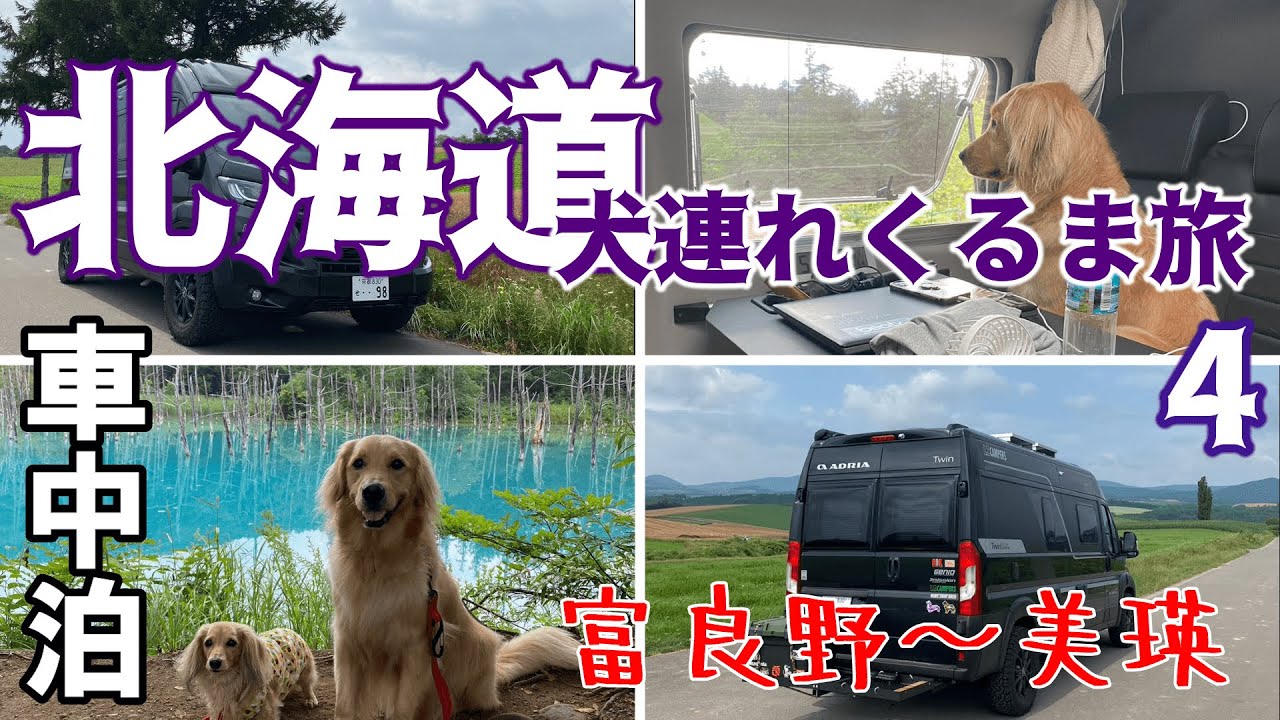 北海道キャンピングカーで行く車中泊旅 2023【犬連れくるま旅】④富良野から美瑛へ【白金青い池】