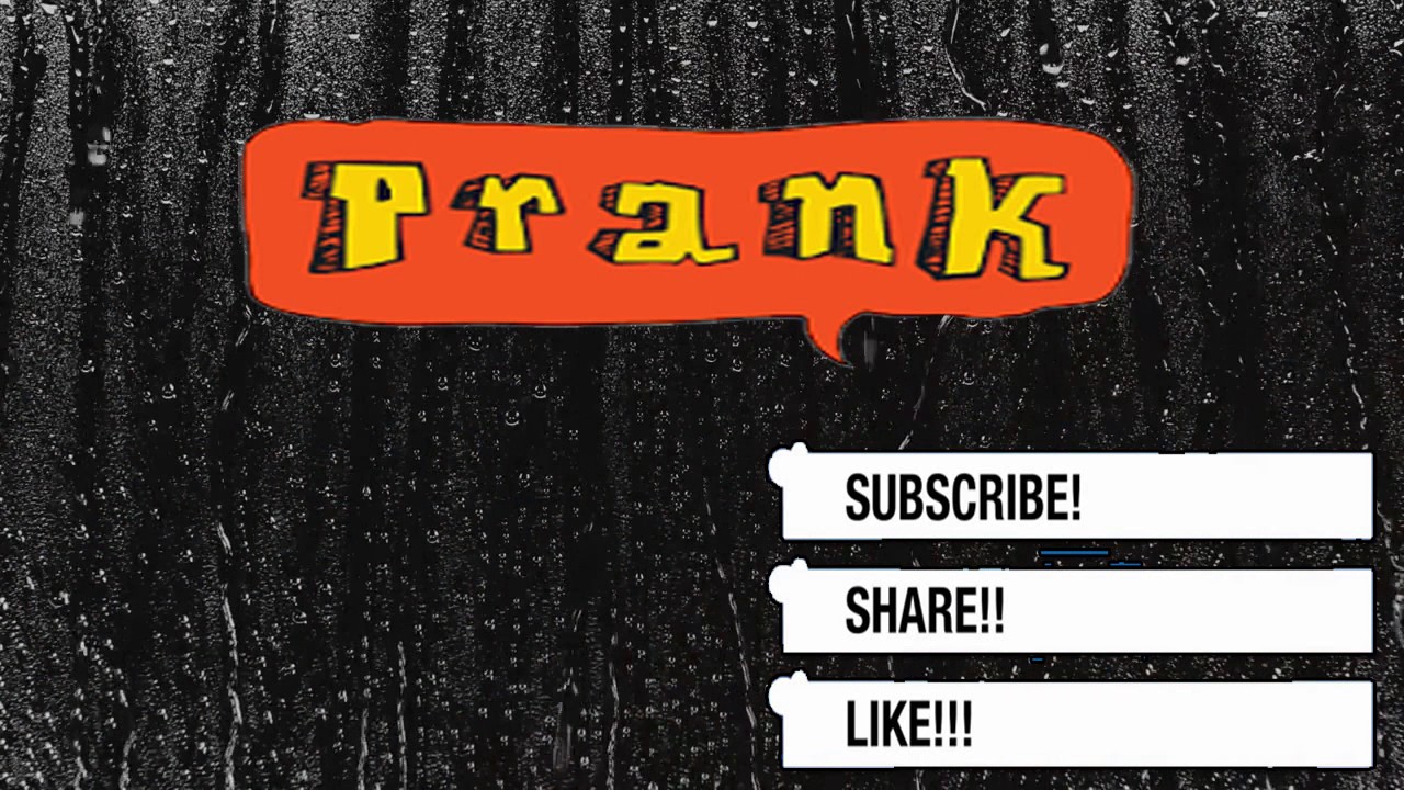 prank store prank store