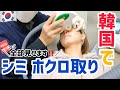 【韓国旅行】韓国の皮膚科でシミホクロ取り/ウテハ皮膚科