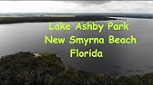Drone Video Of Sharks Close To Shore New Smyrna Beach Youtube Drone Video Of Sharks Close To Shore New Smyrna Beach Youtube