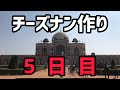 【チーズナン作り5日目】チーズナンの作り方のおさらいとその出来はいかに！？