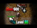 Encontrei um HIGH LEVEL AFK em Ferobra no Tibia e esse foi o Resultado...