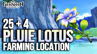 Sports Performance Pluie Lotus Location - Ascension Material Fast Farming Route [Genshin Impact] Fontaine