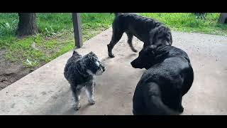 There Was No Pee That Came Out Of Me...