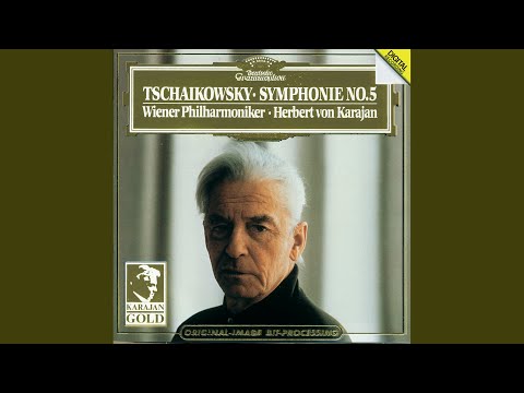 Tchaikovsky: Symphony No. 5 in E Minor, Op. 64: I. Andante