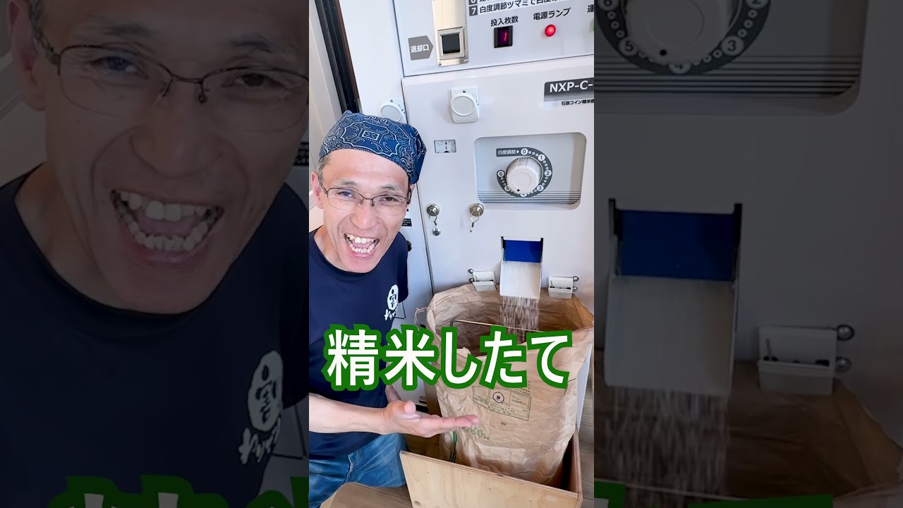 節約できるセルフ精米