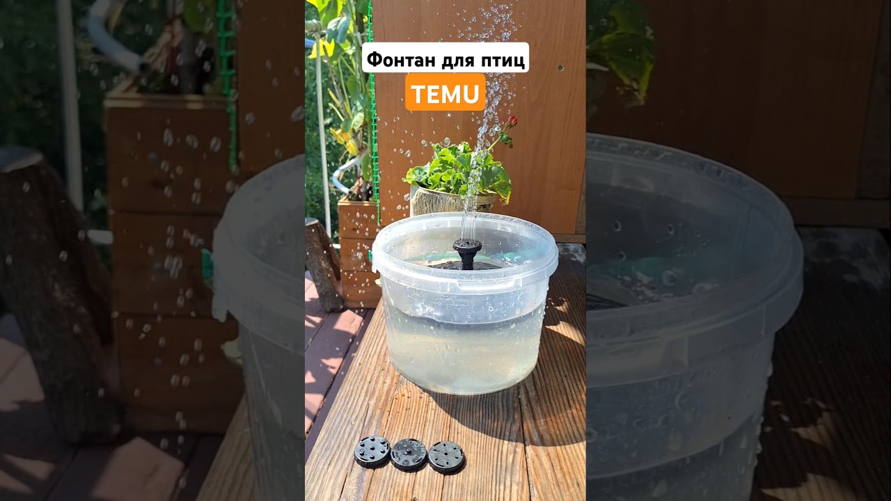 Фонтан для птиц на солнечной батарее/ сайт TEMU