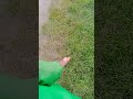как беспалевно "отливать" на трассе или чему я научился за 30 лет )