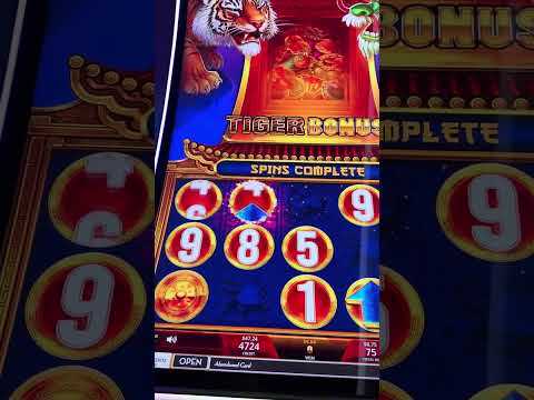 Dancing Panda Fortune Casino Slot Machine - Winning Bonus Panda Coin & Multipier Woohoo 😆
