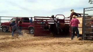 practice pen red bull jordan fuchs