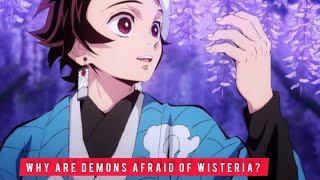 Demon Slayer’: Why Are Demons Afraid Of Wisteria? | Sin Slayer