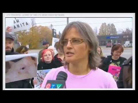 CTV: Toronto Woman charged after giving pigs water
