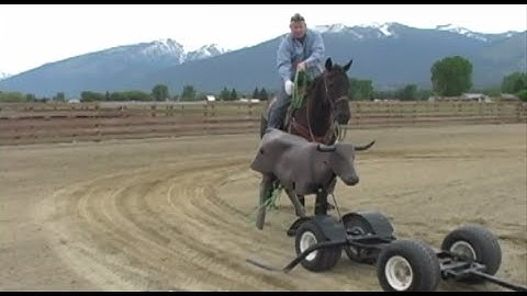 DruStew View: Left hand and horse position part 1