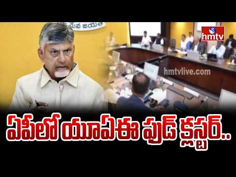 ఏపీలో పెట్టుబడికి ముందుకు వచ్చిన యూఏఈ | AP UAE Food Cluster Agreement | hmtv - HMTVNEWS