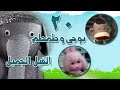 بوجي وطمطم في الفيل الجميل الحلقة 20 من 22 