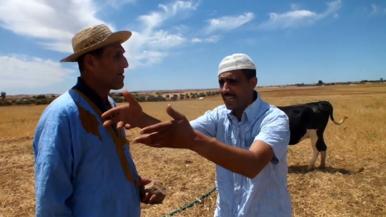 سلسلة - البياض - ولد موا - الحلقة 50