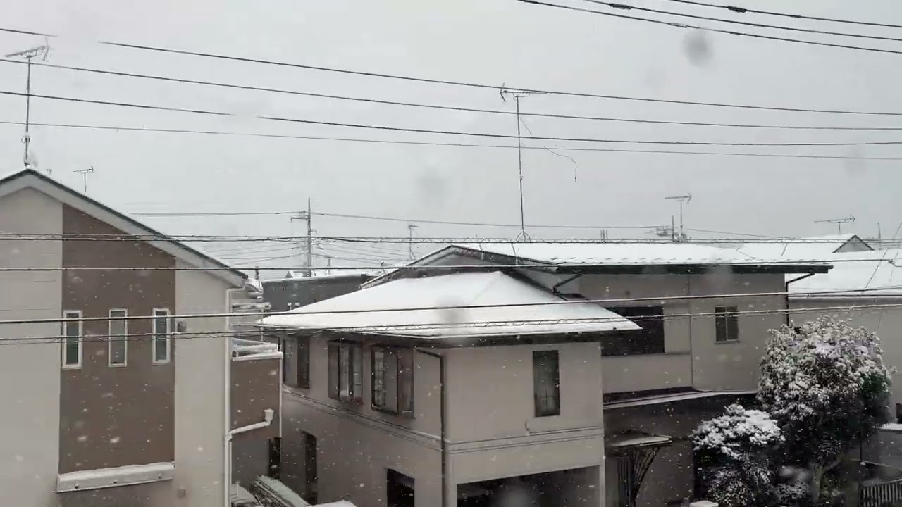 東京富士迴游大雪疾行