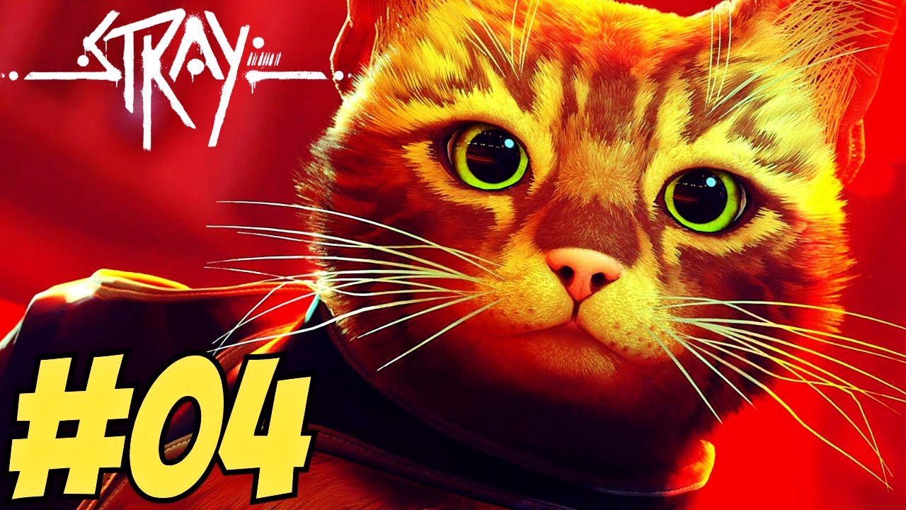 O jogo do gato - STRAY - Parte 3. 