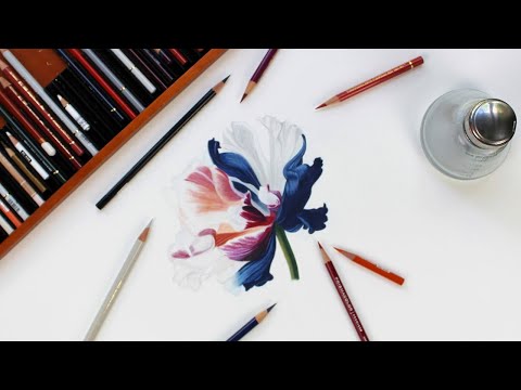 Colored Pencil Drawing with Jennifer Morrison - Strathmore Artist