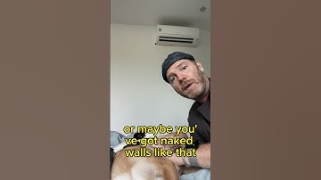 WTF Wall Art? #photography