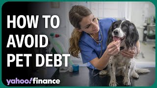 How to avoid going into debt over a pet medical emergency