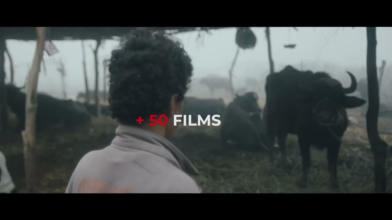 SOLE LUNA DOC FILM FESTIVAL 2025 _TRAILER