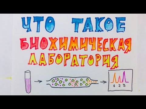 Что такое биохимическая лаборатория