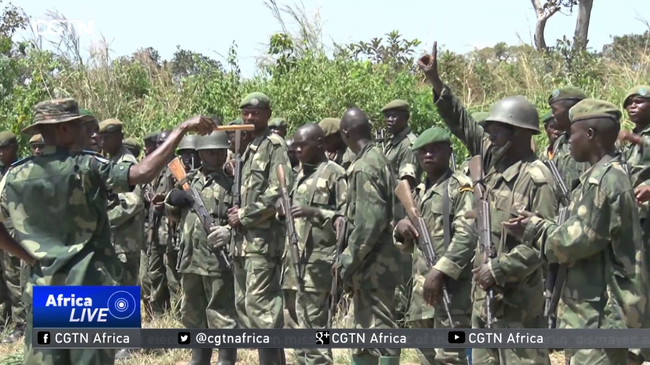 Curbing illegal arms seen as main ways of reducing insecurity in Africa Curbing illegal arms seen as main ways of reducing insecurity in Africa