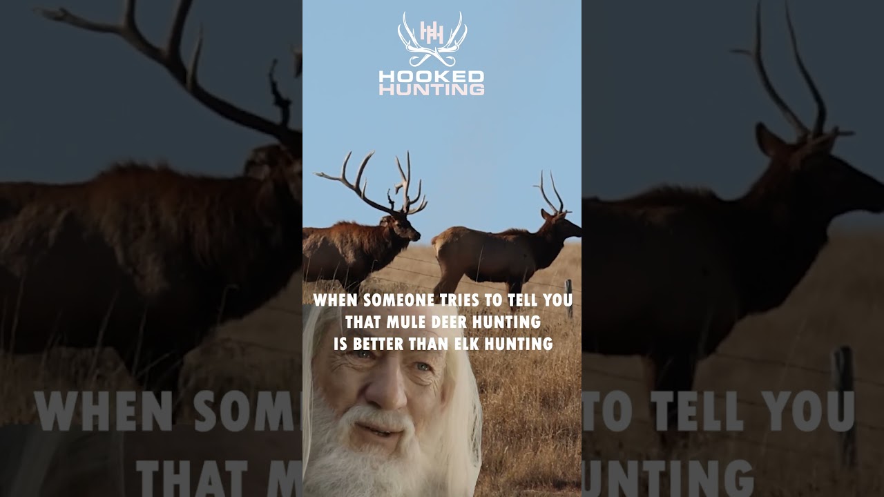 Elk Hunting VS Deer Hunting #backcountryhunting #elkhunting #deerhunting #huntinghumor #funnyhunting