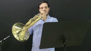 Brahms symphony 4 2nd horn excerpt