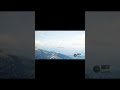 red deer hunting #33