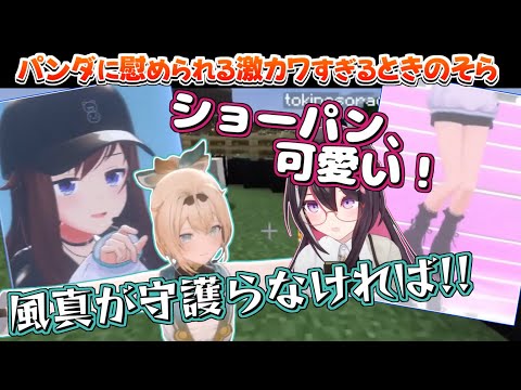 【ホロライブ切り抜き】パンダといろはに慰められる新衣装のショーパンが可愛すぎるそらちゃん【ときのそら/AZKi/風真いろは】