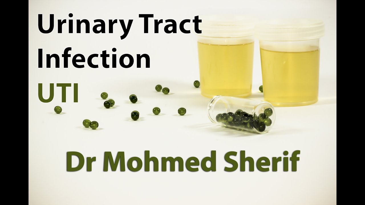 Urinary tract infection (UTI) - التهاب الجهاز البولي