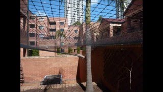 Cat Run - Build Your Own Cat Enclosure Or Cat Run.wmv