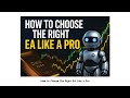 How to Choose the Right EA Like a Pro