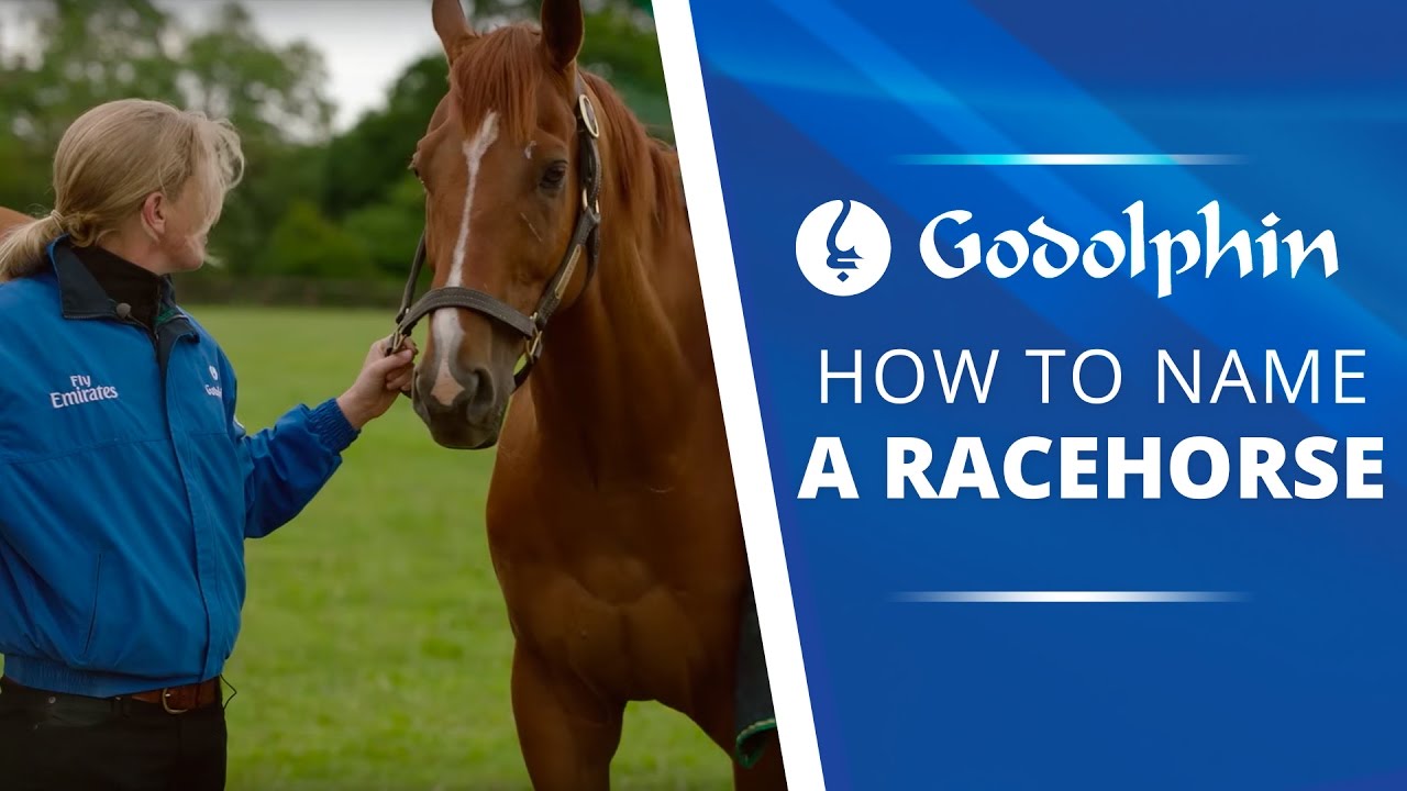Staff Stories How to Name a Racehorse YouTube