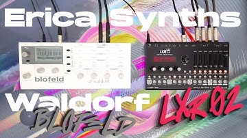 ERICA SYNTHS LXR-02 AND WALDORF BLOFELD — GENERATIVE MUSIC AND POLYRHYTHMS
