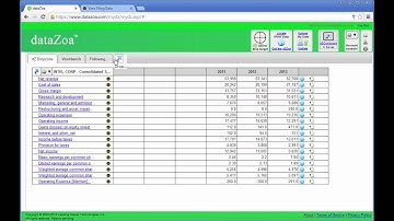 SEC EDGAR data with dataZoa