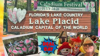 Lake Placid, Caladium Capital of the World, Lets visit the Festival