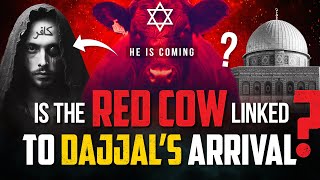 Is The Red Cow Linked To Dajjals Arrival?