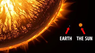 WOH G64 - The New Largest Star in the Universe! 2024 Documentary WOH G64 - The New Largest Star in the Universe! 2024 Documentary